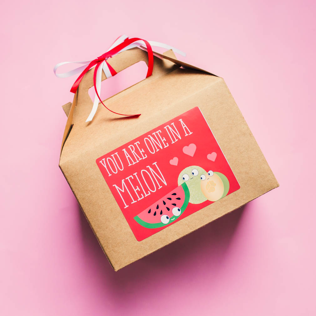 Valentine's Day Gift Box - LDP-MGB148
