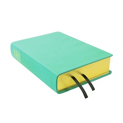 Large Hand-Bound Leather Bible - Light Turquoise - LDP-HB-LB-LTQ